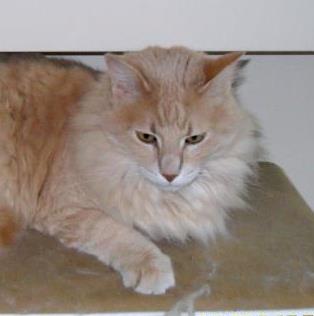 Size & Physical Traits