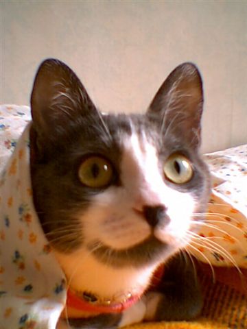 Size & Physical Traits