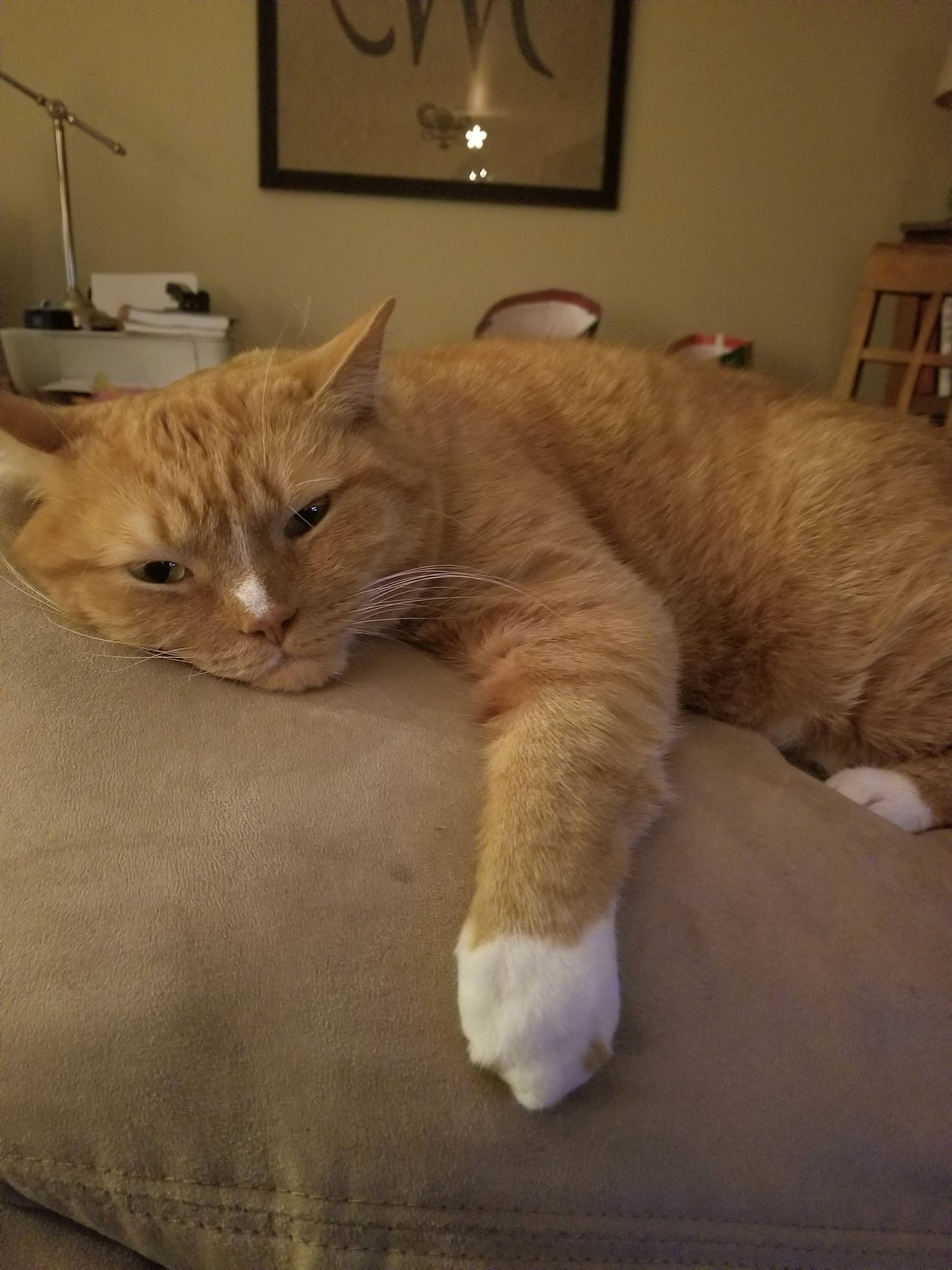 Manx Personality Profile