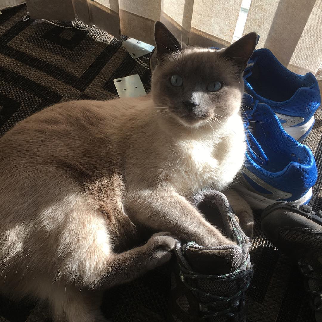 Size & Physical Traits