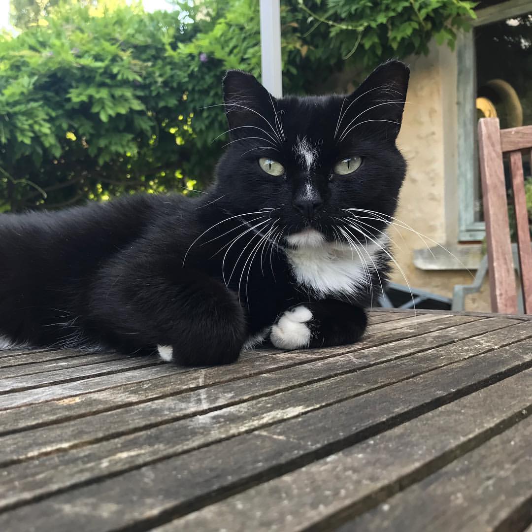 Size & Physical Traits