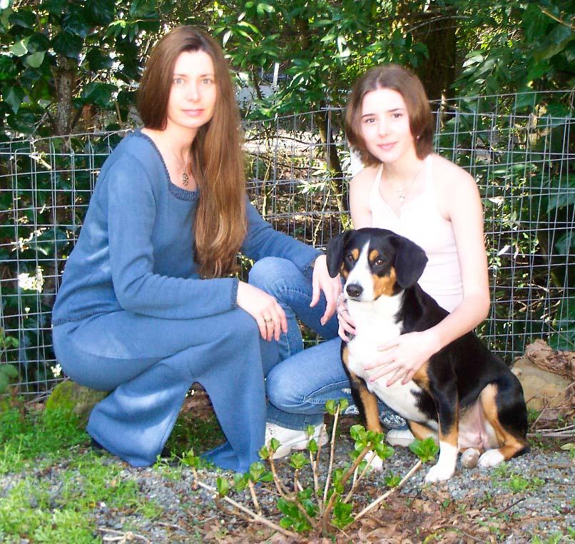 Entlebucher Mountain Dog photo 4